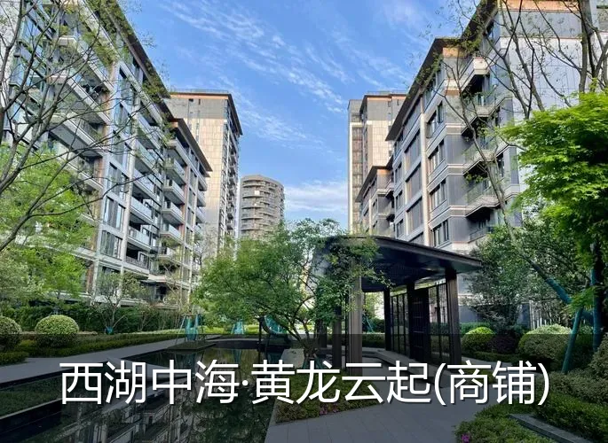 西湖中海·黄龙云起(商铺)