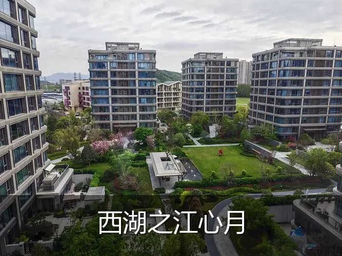 西湖之江心月