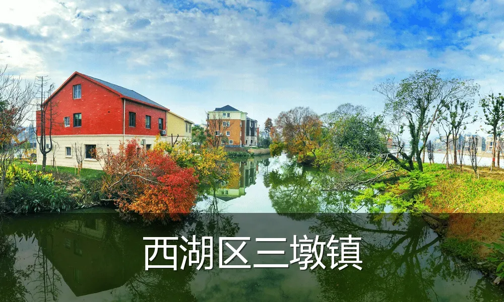 西湖区三墩镇