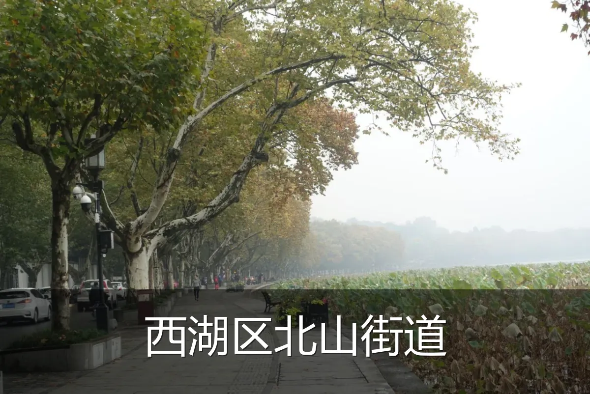 西湖区北山街道