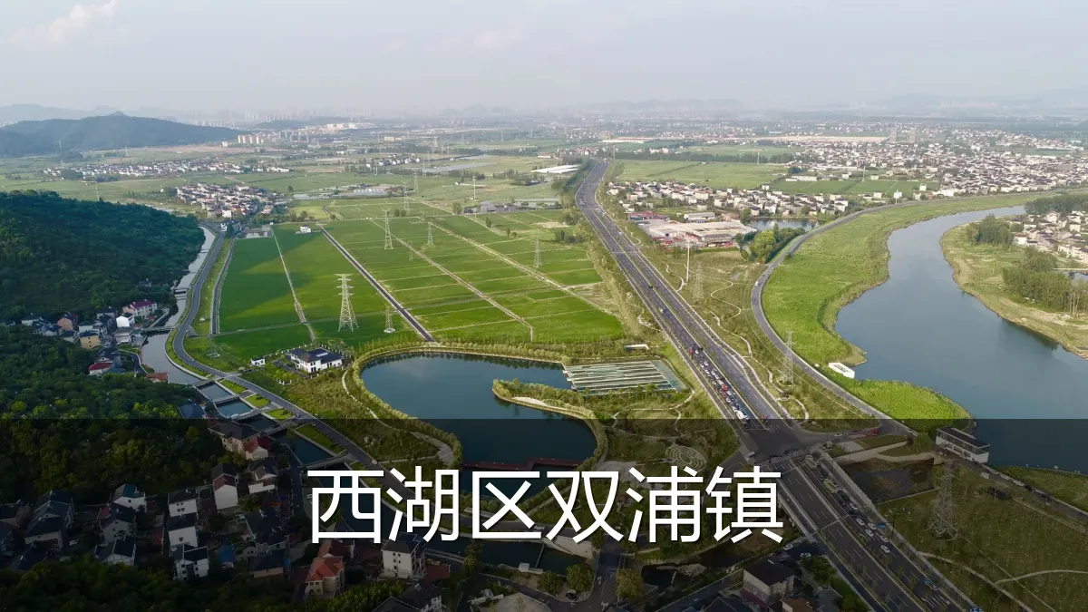 西湖区双浦镇