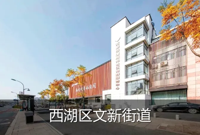 西湖区文新街道