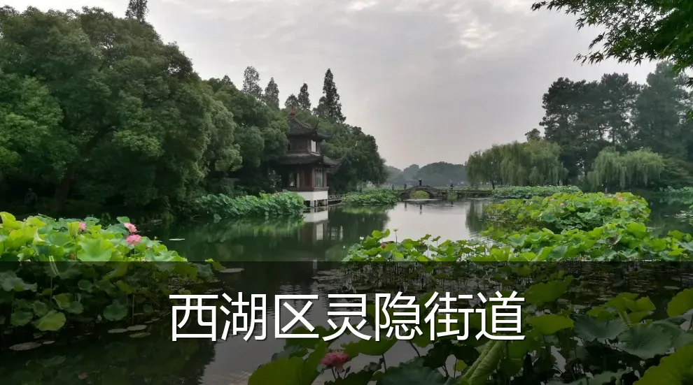 西湖区灵隐街道