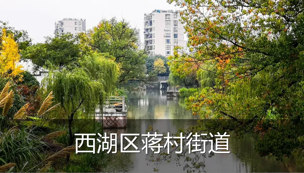西湖区蒋村街道