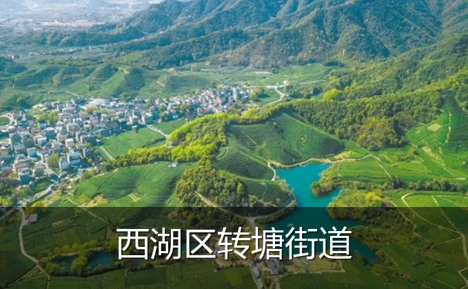 西湖区转塘街道