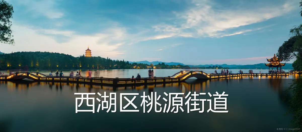 西湖区桃源街道